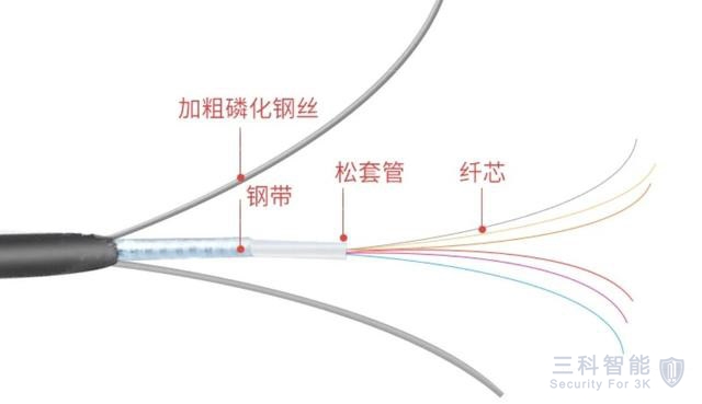 午夜两性网光纖